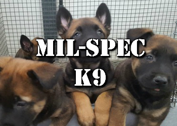 Mil-Spec K9
